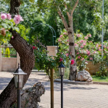 Bed & Breakfast Natura