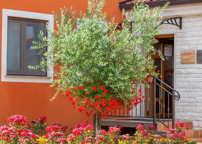 Bed & Breakfast Natura 4*